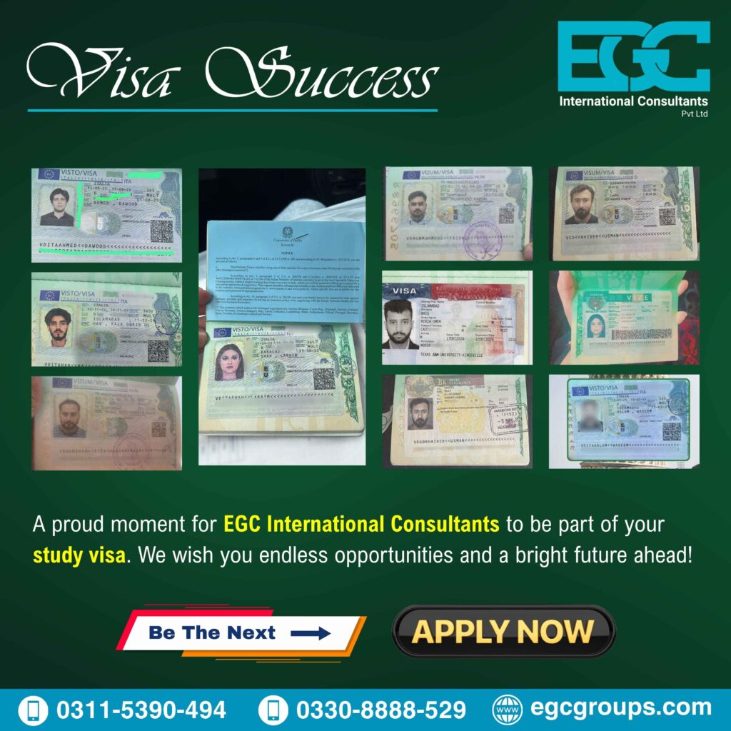 Multi success Story Visa